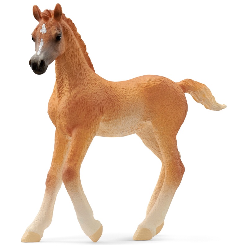 schleich Horse Club 13984 Arabian Foal