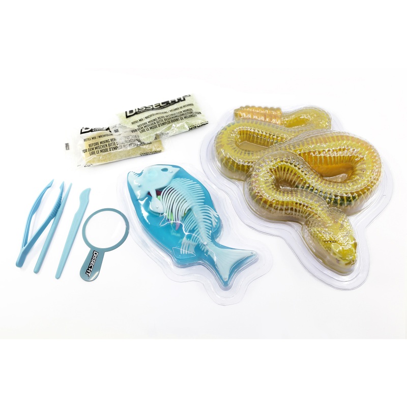 Dissect-it Anatomy Kit Mega Lab Rattlesnake and Piranha