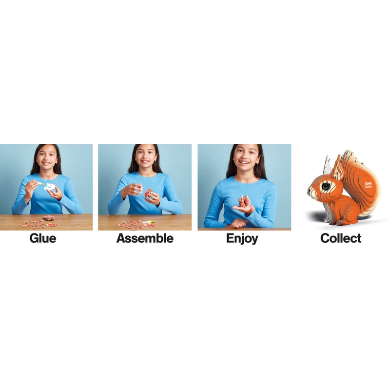 EUGY 3D Model Kit 083: Squirrel