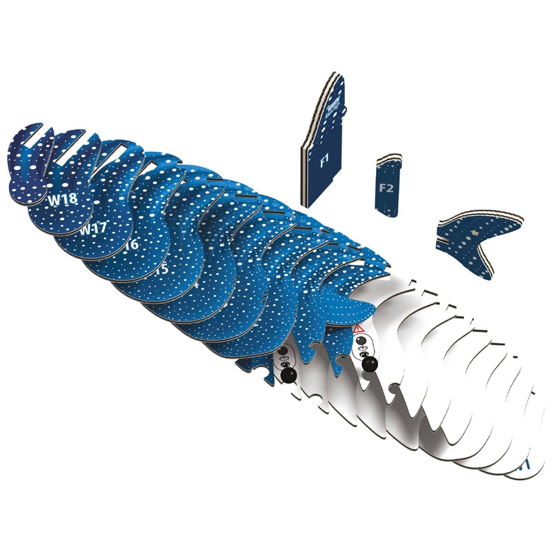 EUGY 3D Model Kit 049: Whale Shark 3 EUGY 3D Model Kit 049: Whale Shark