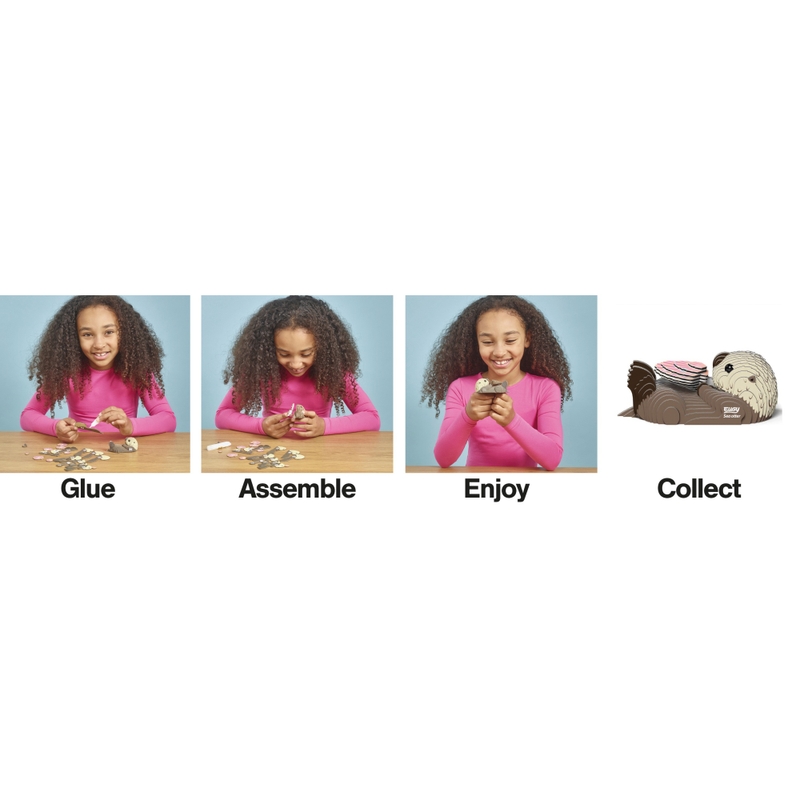 EUGY 3D Model Kit 060: Sea Otter