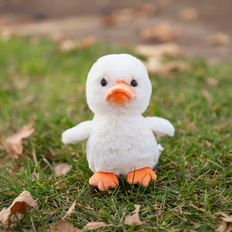 World's Softest Plush Dot the Baby Duck 25cm 4 World's Softest Plush Dot the Baby Duck 25cm