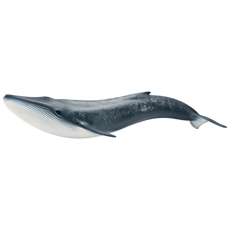schleich Wild Life 14806 Blue Whale