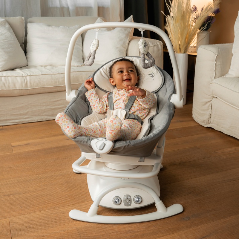 Joie Emeri 2-in-1 Baby Swing and Rocker Fern