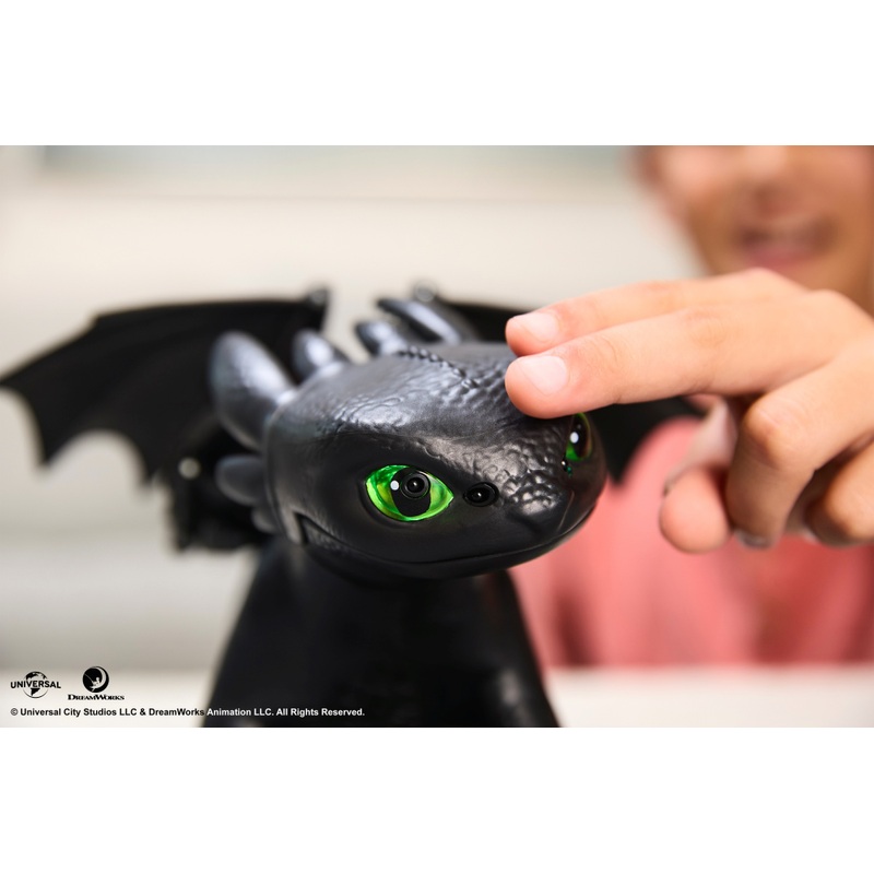 DreamWorks How to Train Your Dragon Tame and Train Interactive Toothless