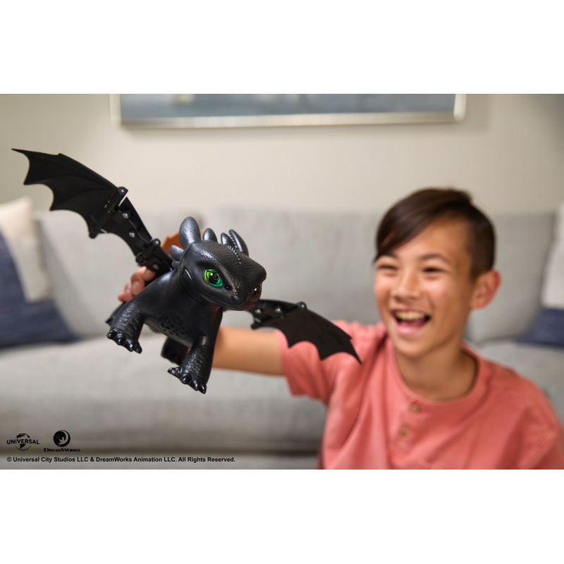DreamWorks How to Train Your Dragon Tame and Train Interactive Toothless 4 DreamWorks How to Train Your Dragon Tame and Train Interactive Toothless