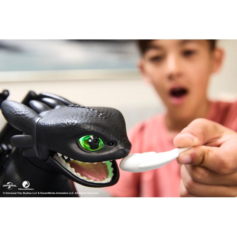 DreamWorks How to Train Your Dragon Tame and Train Interactive Toothless 5 DreamWorks How to Train Your Dragon Tame and Train Interactive Toothless