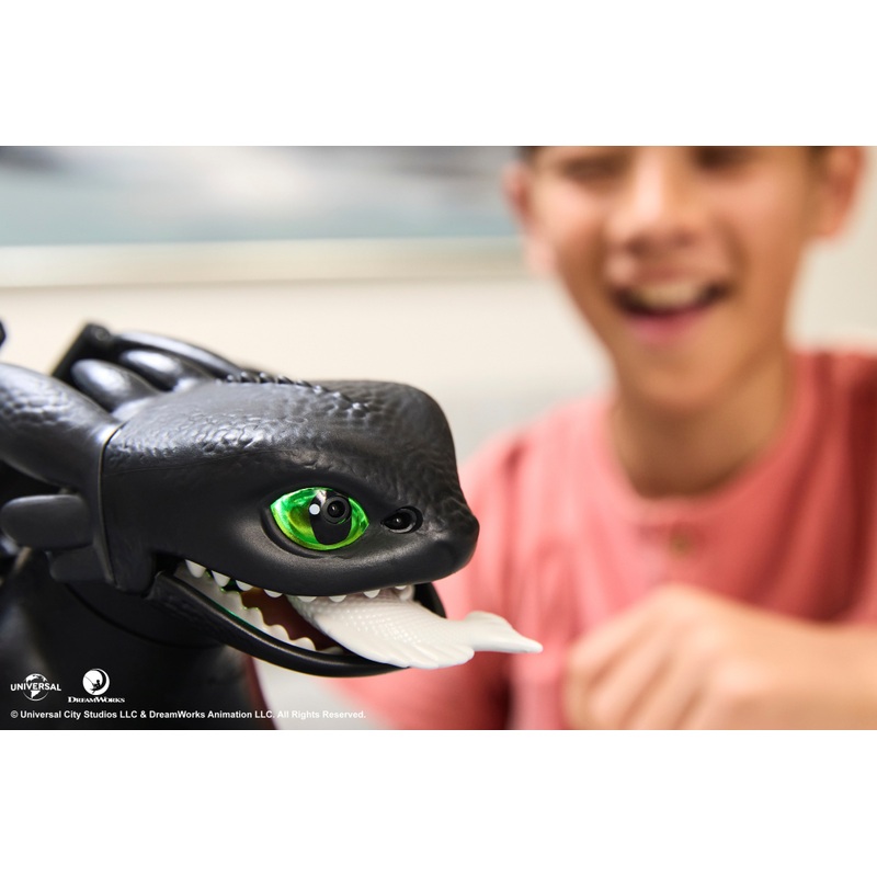 DreamWorks How to Train Your Dragon Tame and Train Interactive Toothless 6 DreamWorks How to Train Your Dragon Tame and Train Interactive Toothless