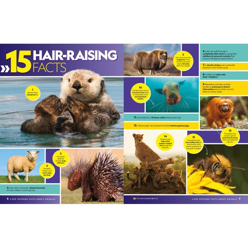 National Geographic Kids 5,000 Awesome Facts About Animals! Hardback Book