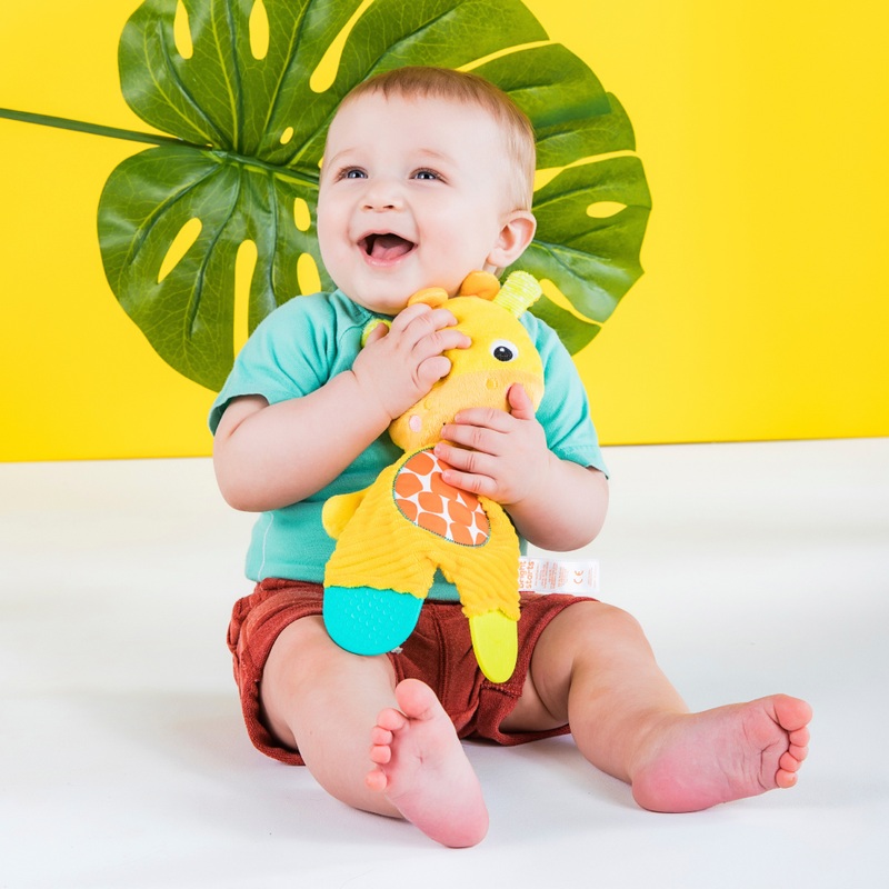 Bright Starts Snuggle & Teethe Soft Teething Toy
