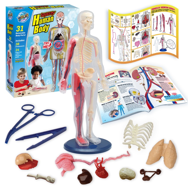 Wild Science Kit Squeezy Human Body Anatomy Set with Discovery Guide