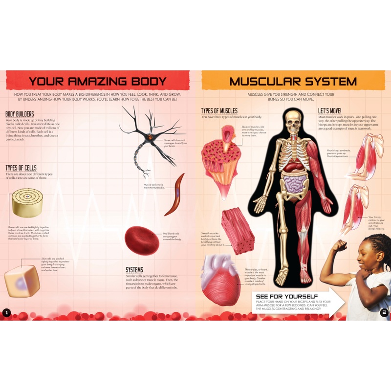 Inside Out Human Body Learning Book
