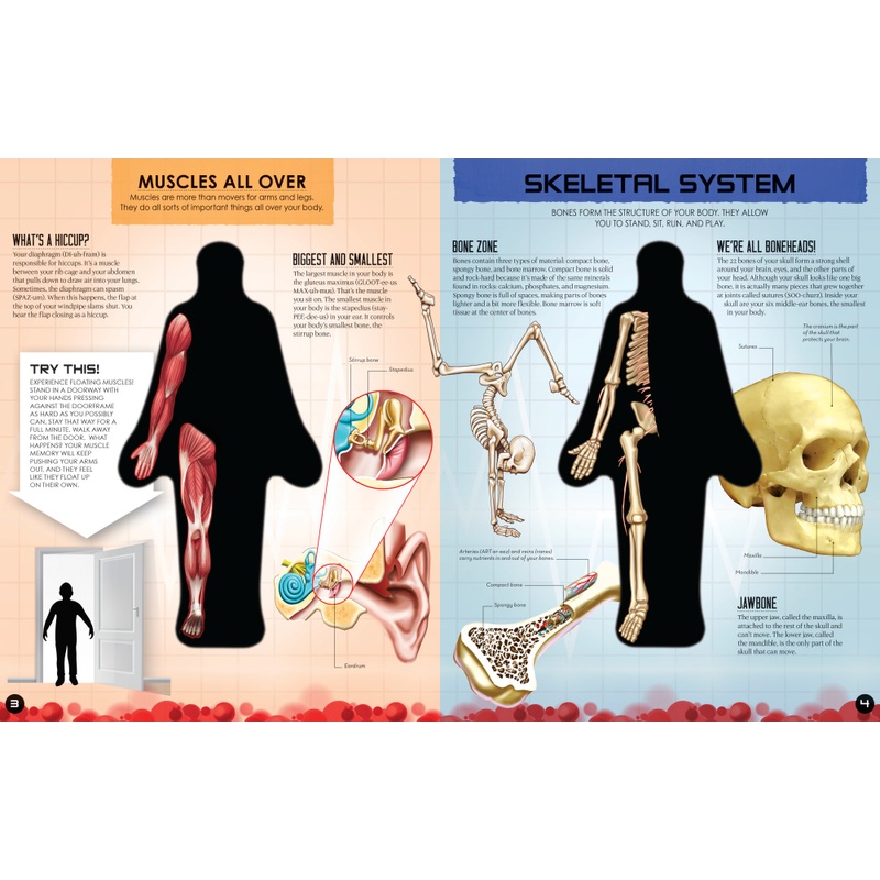 Inside Out Human Body Learning Book