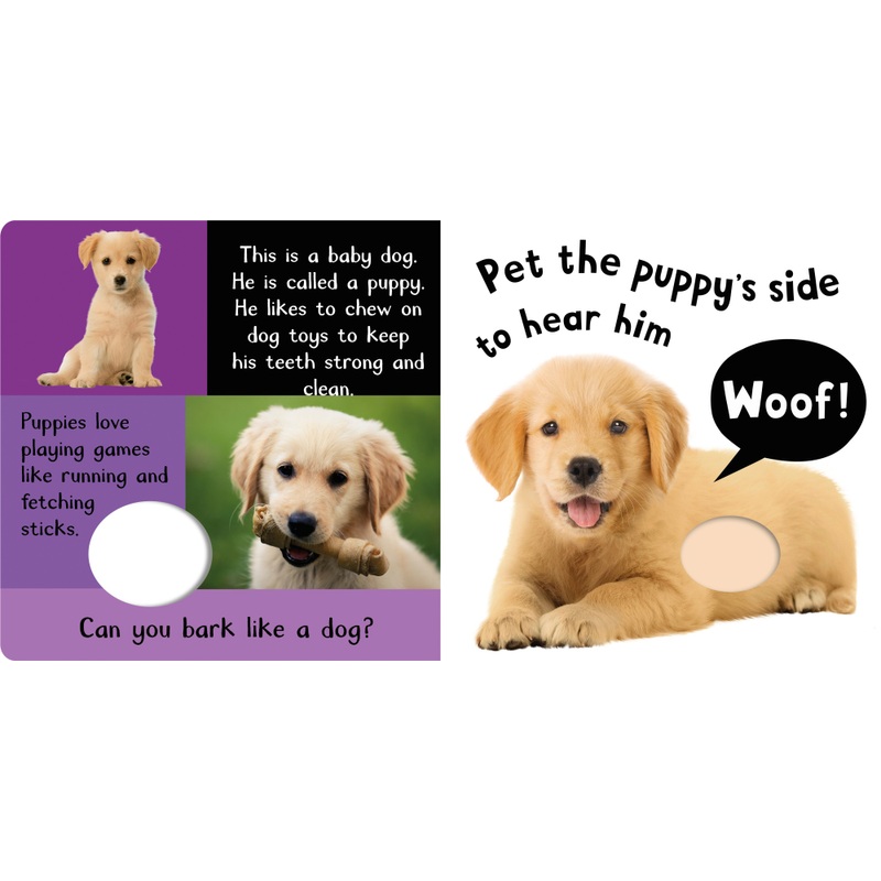 Noisy Baby Animals My First Touch and Feel Sensory Sound Book