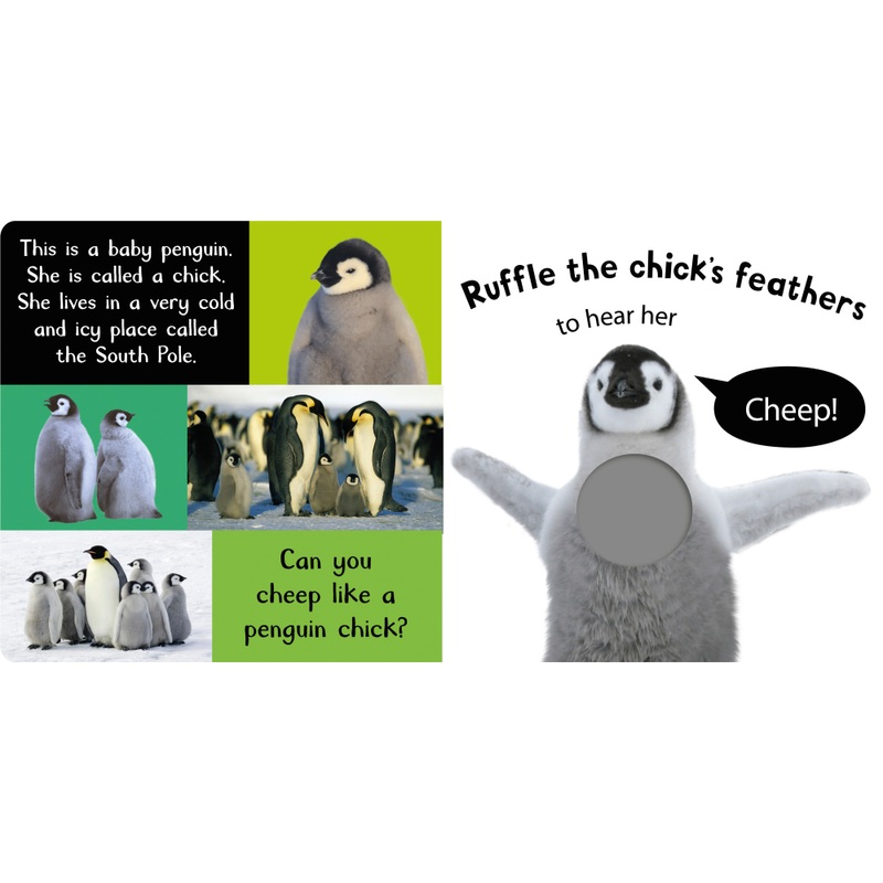 Noisy Baby Animals My First Touch and Feel Sensory Sound Book