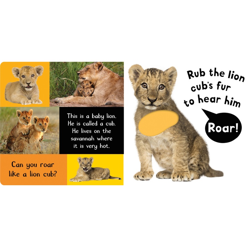 Noisy Baby Animals My First Touch and Feel Sensory Sound Book 4 Noisy Baby Animals My First Touch and Feel Sensory Sound Book