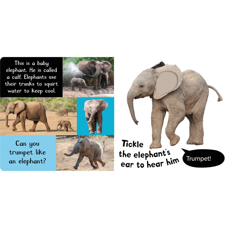 Noisy Baby Animals My First Touch and Feel Sensory Sound Book 5 Noisy Baby Animals My First Touch and Feel Sensory Sound Book