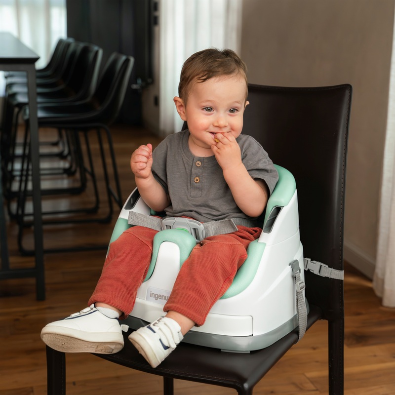 Ingenuity Baby Base 2-in-1 Booster Seat Mist