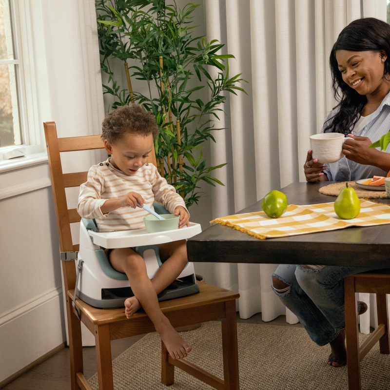 Ingenuity Baby Base 2-in-1 Booster Seat Mist