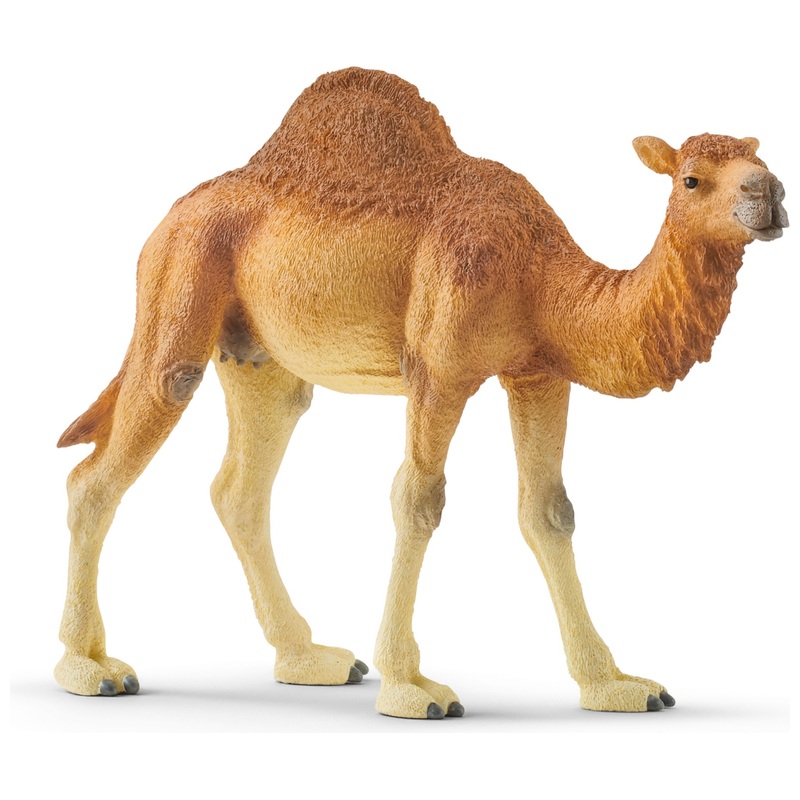 schleich Wild Life 14832 Dromedary