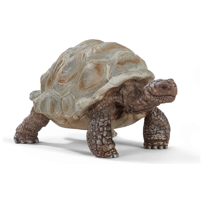 schleich Wild Life 14824 Giant Tortoise
