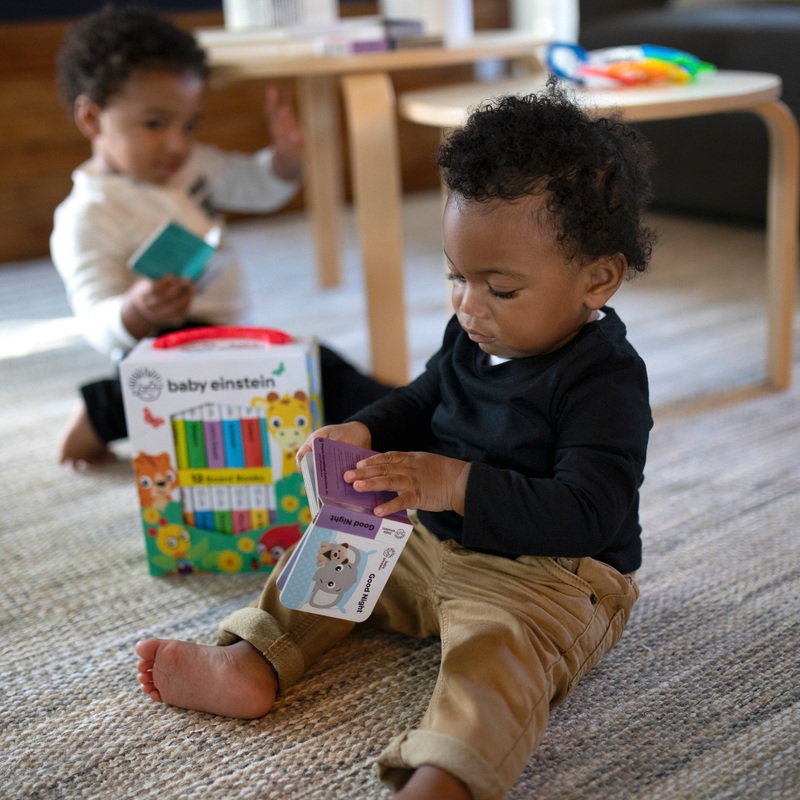 Baby Einstein Farm Friends My First Library 12 Board Book Set