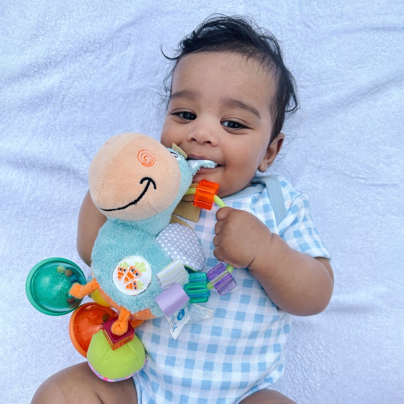 Playgro Clip Clop Activity Rattle Blue 3 Playgro Clip Clop Activity Rattle Blue