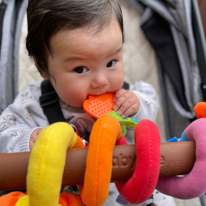 Playgro Amazing Garden Twirly Whirly Teether Sensory Stroller Toy 4 Playgro Amazing Garden Twirly Whirly Teether Sensory Stroller Toy