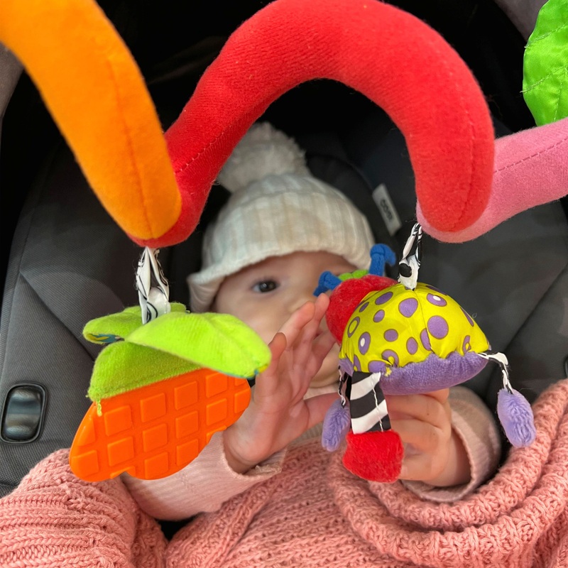 Playgro Amazing Garden Twirly Whirly Teether Sensory Stroller Toy 5 Playgro Amazing Garden Twirly Whirly Teether Sensory Stroller Toy