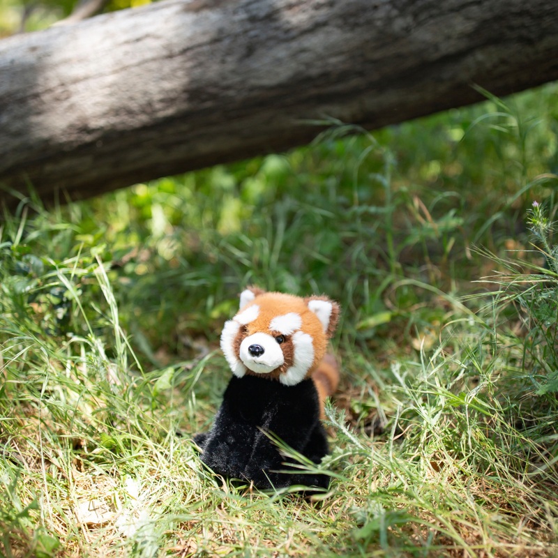 World's Softest Plush Rudi the Red Panda Soft Toy 30cm 5 World's Softest Plush Rudi the Red Panda Soft Toy 30cm