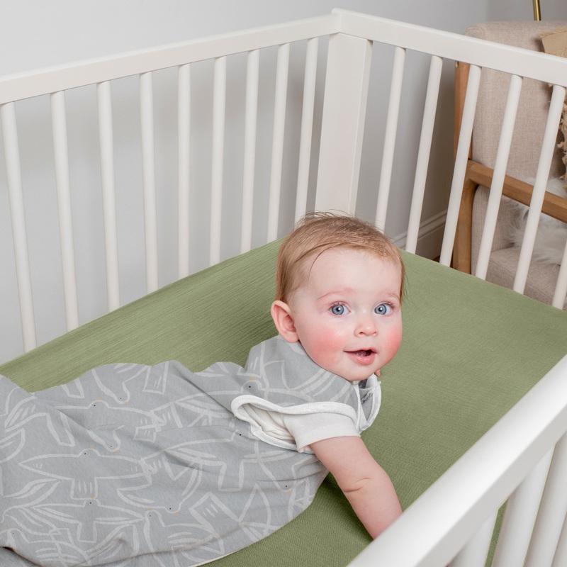 SwaddleMe by Ingenuity 2.5 Tog 3-18 Months Sleeping Bag Flock Together